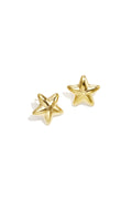 GoldAura™ 14K Gold-Plated Star Stud Earrings – Minimalist Statement Jewelry