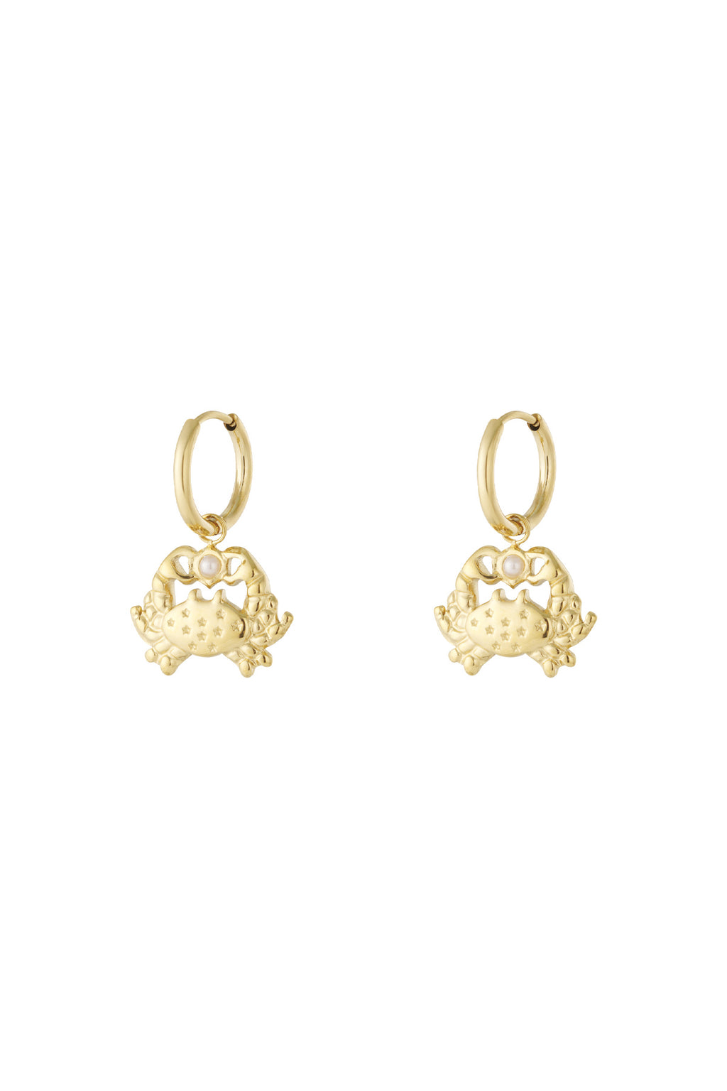 GoldAura™ Golden Crab Charm Hoop Earrings – 304 Stainless Steel