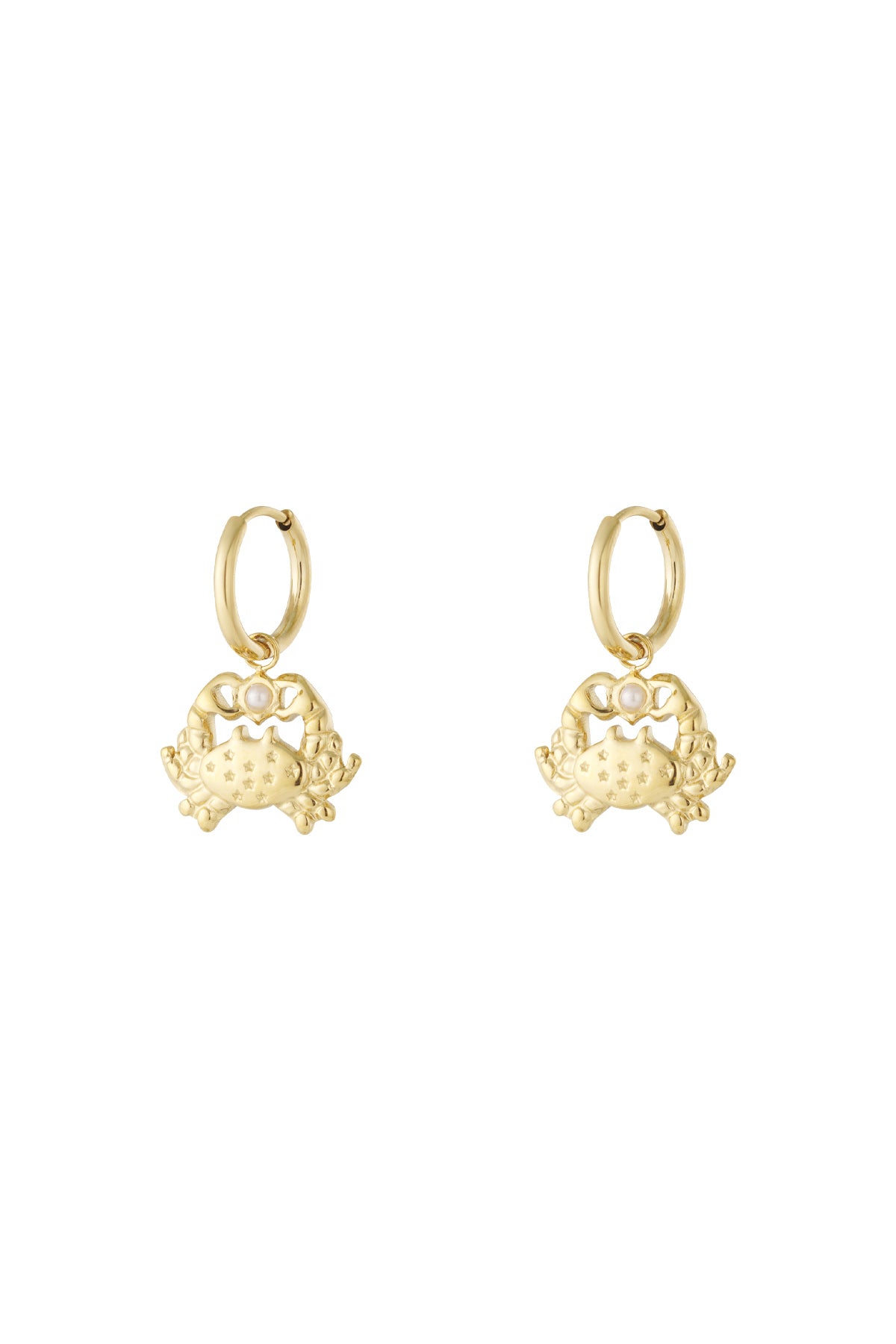 GoldAura™ Golden Crab Charm Hoop Earrings – 304 Stainless Steel